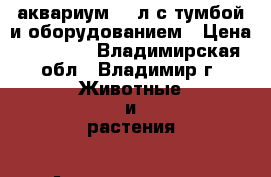 аквариум 180л с тумбой и оборудованием › Цена ­ 22 000 - Владимирская обл., Владимир г. Животные и растения » Аквариумистика   